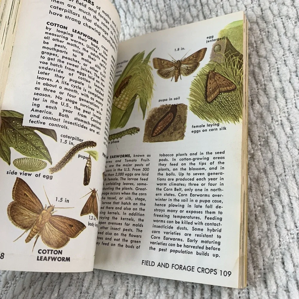 1966 A Golden Nature Guide INSECT PESTS by Herbert Zimm Home Garden Field Forest - Picture 16 of 16